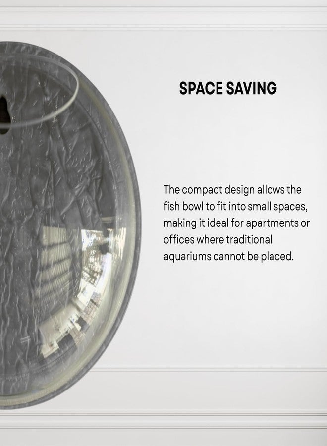 حوض سمك دائري رمادي اللون 6 بوصات يُعلق على الحائط - بدون قاعدة | حوض أسماك عصري للمنزل والمكتب والمقهى | تصميم صغير الحجم وموفر للمساحة | حوض سمك أنيق وحوض نباتات - Image 3